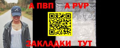ПСИЛОЦИБИНОВЫЕ ГРИБЫ Вышний Волочёк