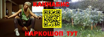 мдпв Вязьма
