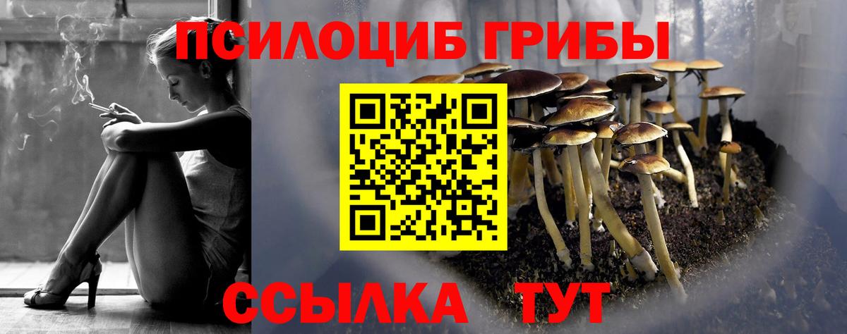 Псилоцибиновые грибы мицелий  Вход с VPN  Северск 